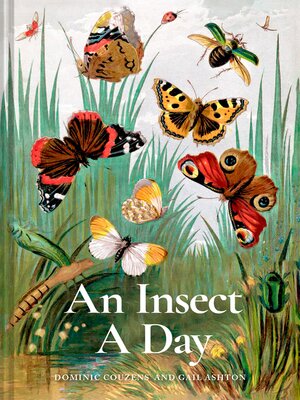 cover image of An Insect a Day